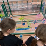 IMG_6758.jpeg