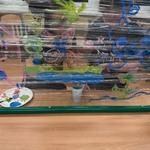 IMG_6757.jpeg