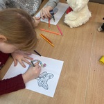 IMG_7587.jpeg
