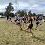 bf17a2c9-45c3-4345-8f67-033f47deb58a.jpg