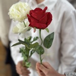 IMG_7355.jpeg
