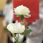 IMG_7353.jpeg
