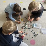 IMG_7926.jpeg