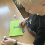 IMG_8018.jpeg
