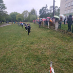 IMG_20190515_110433.jpg