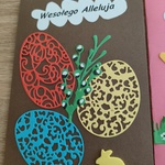 IMG20230320115119.jpg