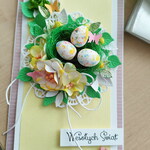 IMG20230320123904.jpg