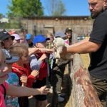 IMG_5970.jpg