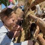 IMG_5979.jpg