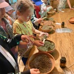 IMG_5996.jpg
