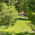 IMG_5998.jpg