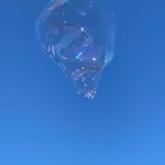 IMG_6086.jpg