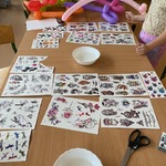IMG_7953.jpg