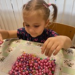 IMG_8022.jpg