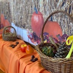 IMG_8352.jpg