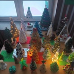 20231208_074148.jpg