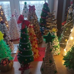 20231208_074234.jpg