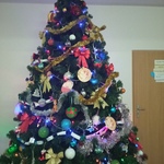 IMG_20231221_112904.jpg