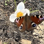 IMG_2773.jpg