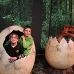IMG20240423165426.jpg
