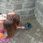 IMG-20240606-WA0001.jpg