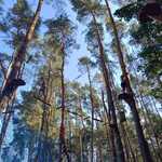 IMG-20240923-WA0004.jpg