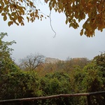 IMG_20241024_123946.jpg