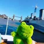 IMG-20250318-WA0067.jpg
