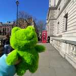 IMG-20250318-WA0079.jpg