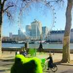 IMG-20250318-WA0088.jpg