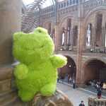 IMG-20250320-WA0059.jpg