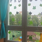 20250523_074244.jpg