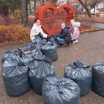 IMG_20241108_131223.jpg
