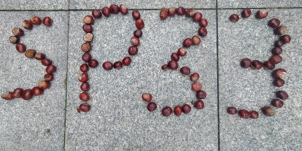 SP33